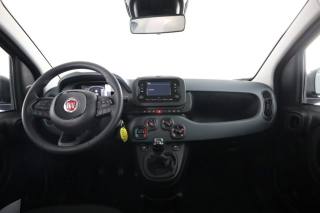 FIAT Panda usata 10