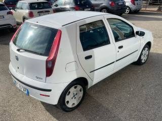 FIAT Punto usata 9