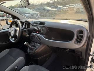 FIAT Panda usata 16