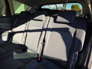 FORD C-Max usata, con Frenata d