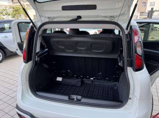 FIAT Panda usata, con Volante multifunzione