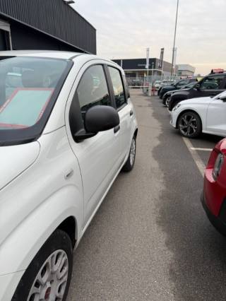 FIAT Panda usata, con Airbag Passeggero
