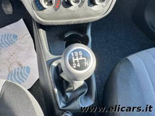 FIAT Punto usata 14