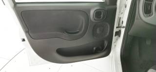 FIAT Panda usata 48