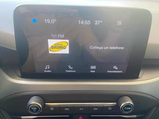 FORD Focus usata, con ESP