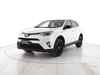 TOYOTA RAV 4 usata, con Airbag