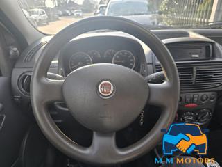 FIAT Punto usata 7