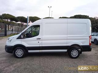 FORD Transit usata, con Fendinebbia