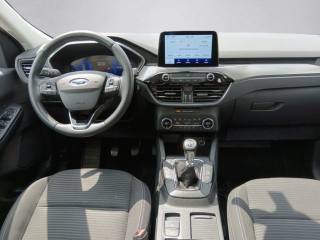 FORD Kuga usata, con Fendinebbia