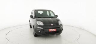 FIAT Panda usata 31