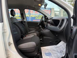 FIAT Panda usata 19