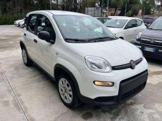 FIAT Panda usata, con Airbag Passeggero