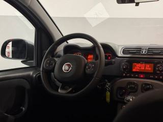 FIAT Panda usata 25
