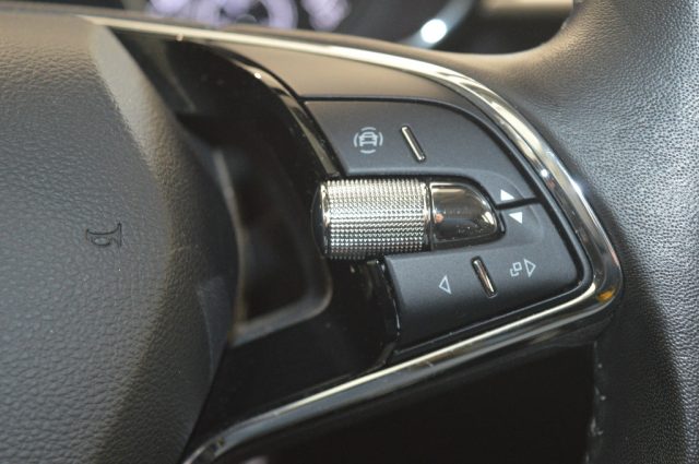 SKODA Fabia usata, con ESP