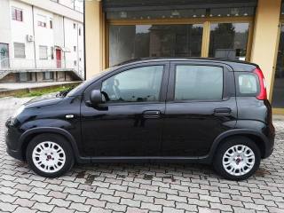 FIAT Panda usata, con Alzacristalli elettrici