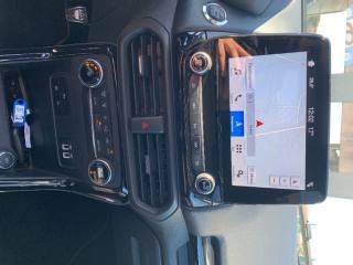 FORD EcoSport usata, con Cruise Control