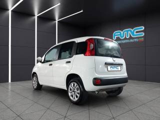 FIAT Panda usata, con Alzacristalli elettrici