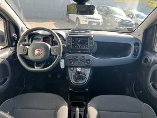 FIAT Panda usata, con ESP
