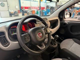 FIAT Panda usata, con Immobilizzatore elettronico