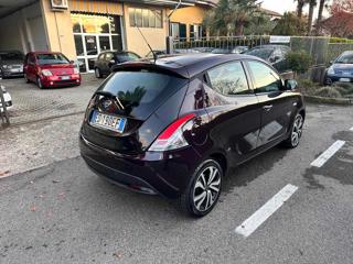 LANCIA Ypsilon usata, con Fendinebbia