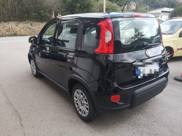 FIAT Panda usata, con Antifurto