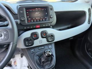 FIAT Panda Cross usata 18