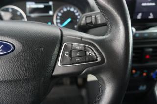 FORD EcoSport usata, con Vivavoce