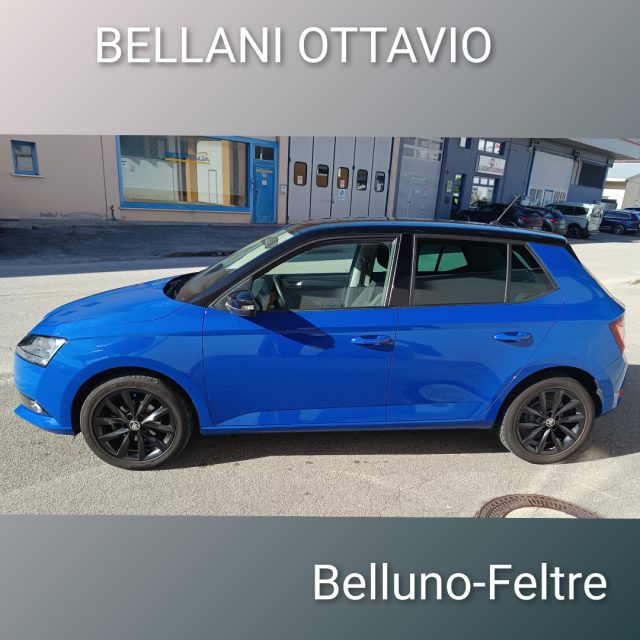 SKODA Fabia usata, con Airbag Passeggero