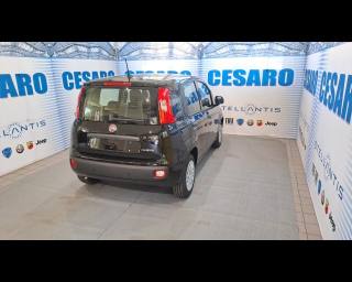 FIAT New Panda usata, con Alzacristalli elettrici