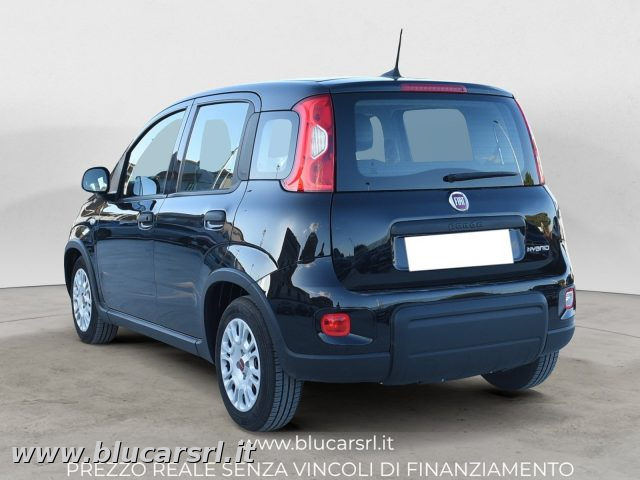 FIAT Panda usata 4