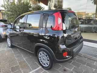 FIAT Panda usata, con Alzacristalli elettrici