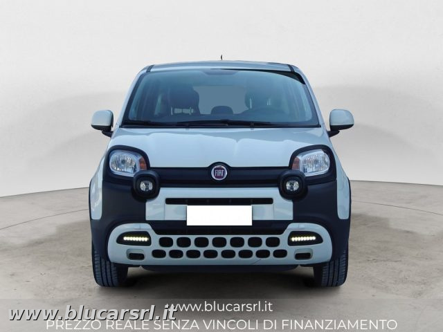 FIAT Panda usata 2