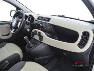 FIAT Panda usata 11