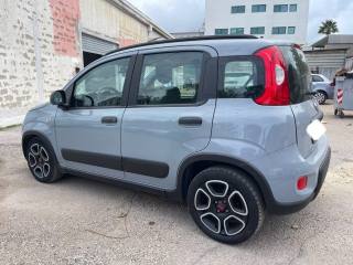 FIAT Panda usata 7