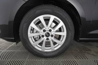 FORD Tourneo Connect usata 15