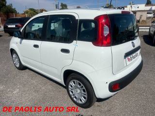 FIAT Panda usata, con Airbag Passeggero