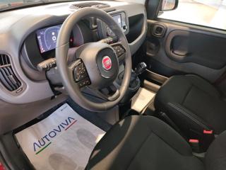 FIAT Panda usata, con Immobilizzatore elettronico