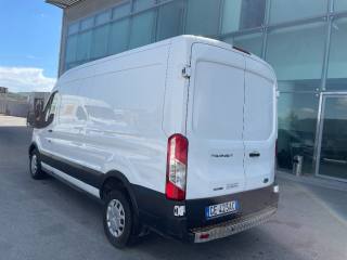 FORD Transit usata, con Cruise Control
