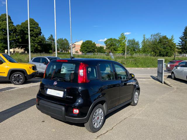 FIAT Panda usata 20
