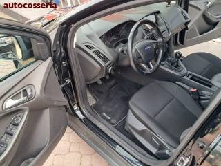 FORD Focus usata 7