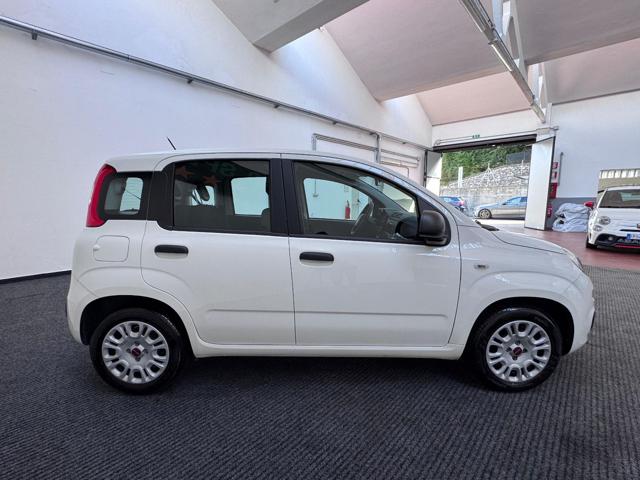 FIAT Panda usata, con Alzacristalli elettrici
