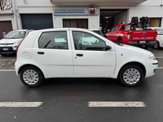 FIAT Punto usata, con Chiusura centralizzata