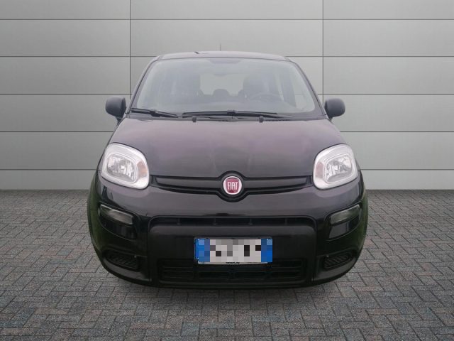 FIAT Panda usata 11