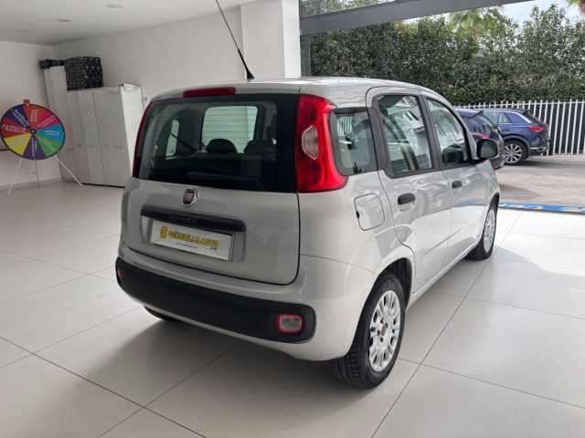 FIAT Panda usata, con Fendinebbia