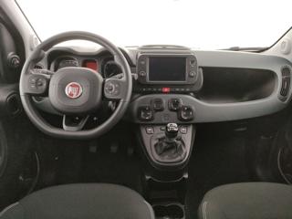 FIAT Panda Cross usata, con Controllo automatico clima