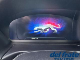 FORD Puma usata, con Cruise Control