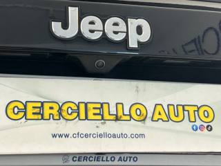 JEEP Renegade usata, con Volante in pelle