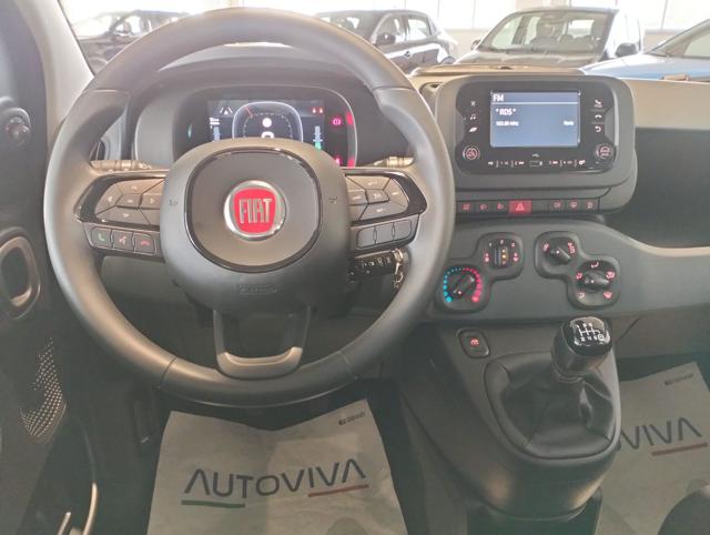 FIAT Panda usata 14