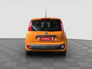 FIAT Panda usata 3