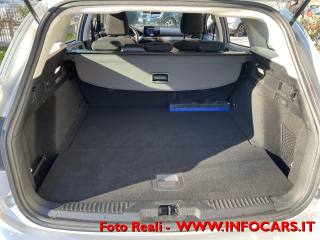 FORD Focus usata, con Bracciolo